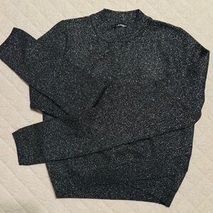 Express Metallic Black Sweater